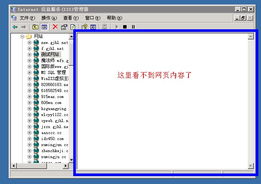 IIS 6 網(wǎng)站無法預(yù)覽的排查與解決方案——安全狗論壇技術(shù)交流